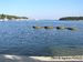 Poreč - Zelená laguna.jpg